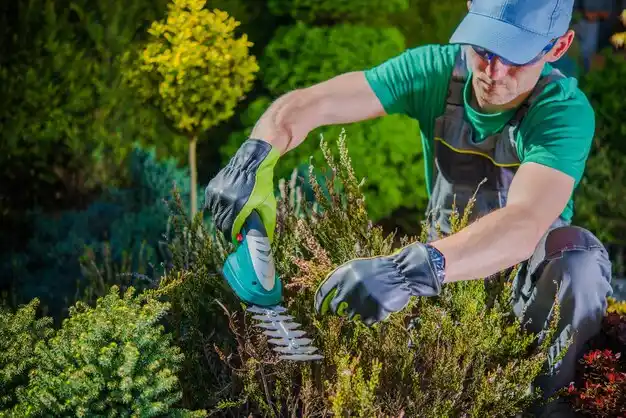 landscaping services Hodgenville